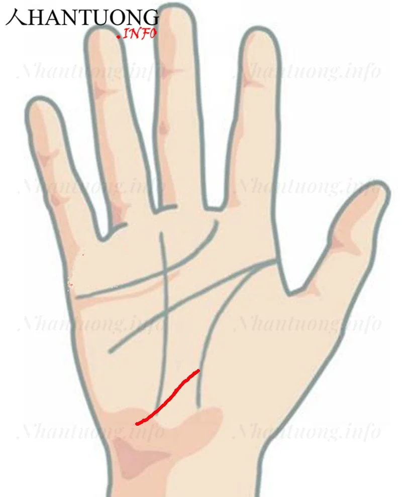 Vị trí đường chỉ tay duyên nợ trên bàn tay Vị trí đường chỉ tay duyên nợ trên bàn tay