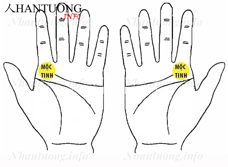 Gò Mộc tinh ở trên bàn tay Gò Mộc tinh ở trên bàn tay