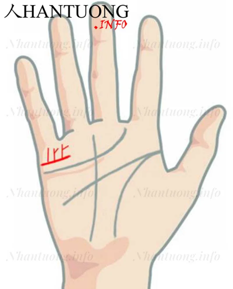 Vị trí đường con cái trên bàn tay Vị trí đường con cái trên bàn tay
