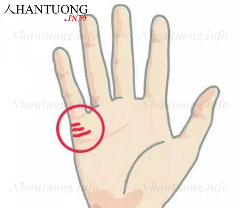 Vị trí đường Hôn nhân trên bàn tay Vị trí đường Hôn nhân trên bàn tay