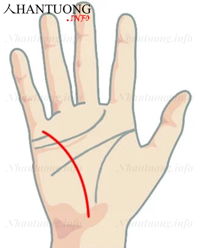 Vị trí đường Thủy tinh trên bàn tay Vị trí đường Thủy tinh trên bàn tay