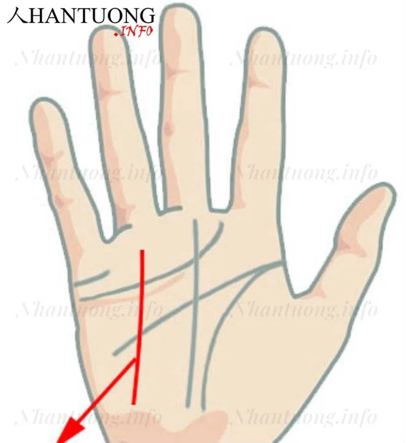 Vị trí đường chỉ tay thái dương trên bàn tay