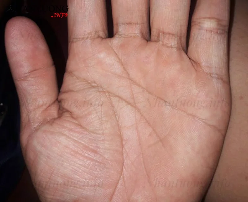 Đường chỉ tay chữ M là đường được tạo bởi 4 đường cơ bản Đường chỉ tay chữ M là đường được tạo bởi 4 đường cơ bản