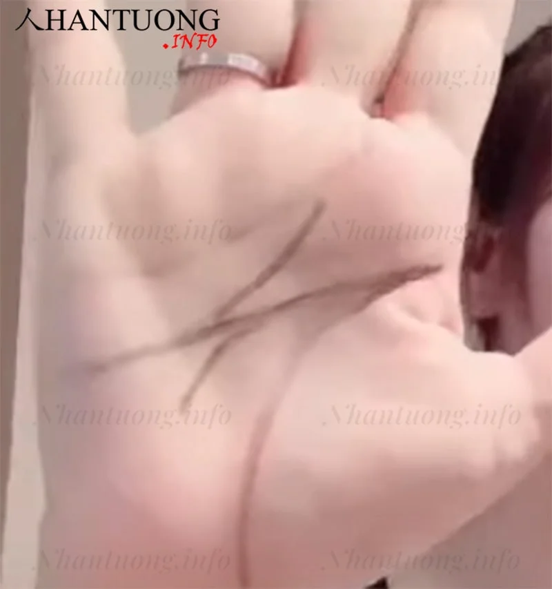 Bàn tay chữ nhất có đường tình cảm và trí tuệ rẽ nhánh Bàn tay chữ nhất có đường tình cảm và trí tuệ rẽ nhánh