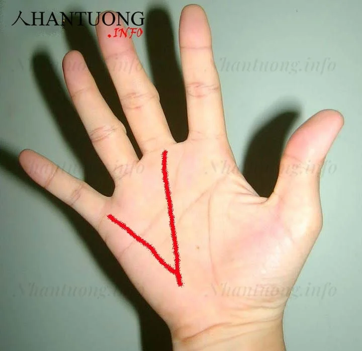 Đường chỉ tay chữ V Đường chỉ tay chữ V