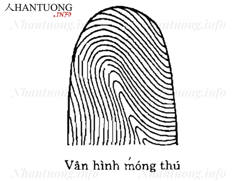 hình ảnh : Xoắn ốc, làn sóng, hàng, màu xanh lá, Đầy màu sắc, vòng tròn,  hình minh họa, Đối xứng, Hình dạng, Ảnh chụp màn hình, Strudel, Sog, Xoáy  nước, Hình