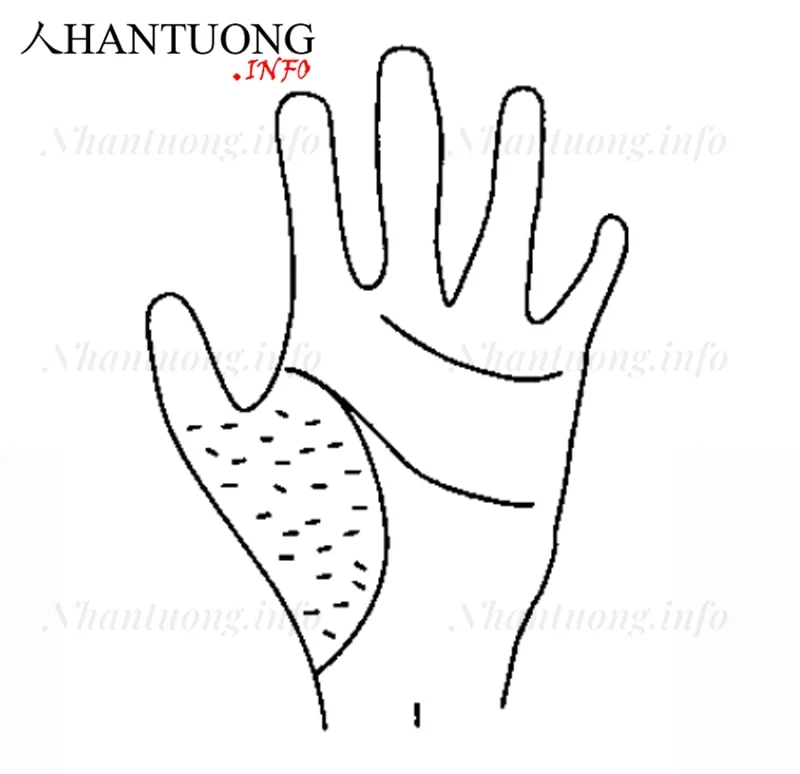 Các chấm trên gò Kim tinh Các chấm trên gò Kim tinh
