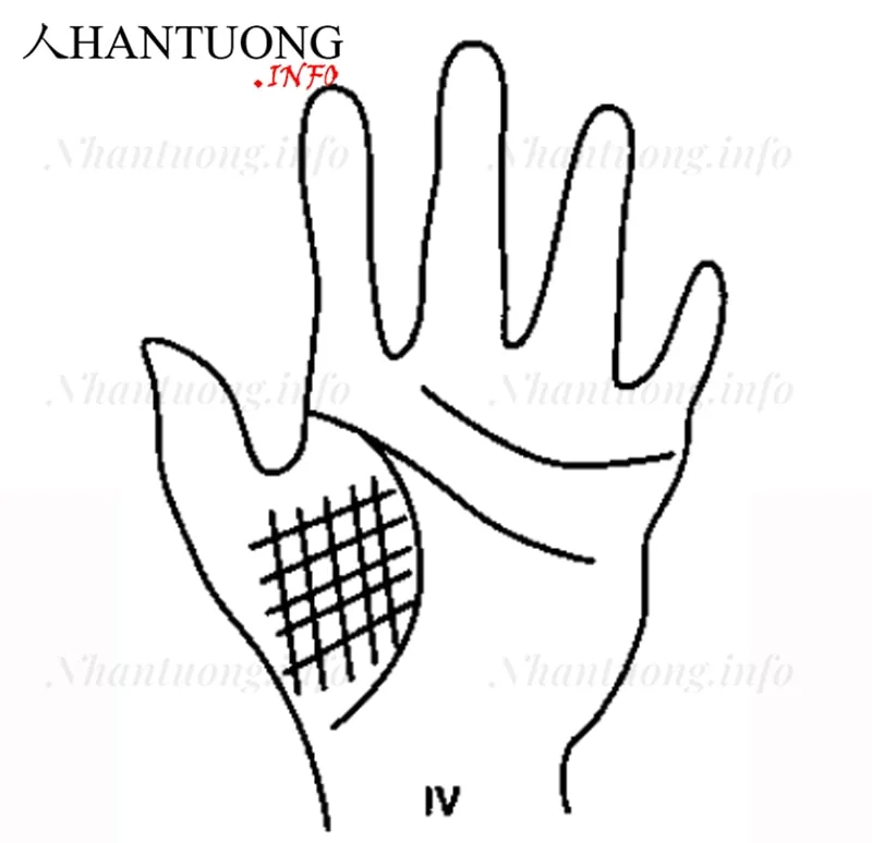 Gò Kim tinh có hình lưới Gò Kim tinh có hình lưới
