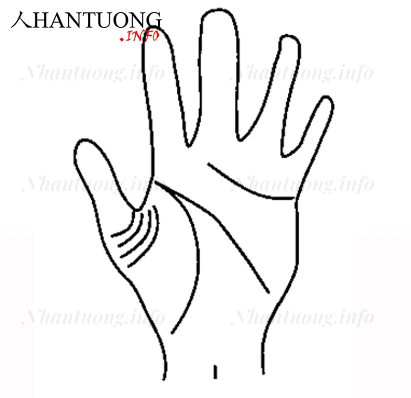 Bốn đường cách đều nhau ở gò Kim tinh Bốn đường cách đều nhau ở gò Kim tinh