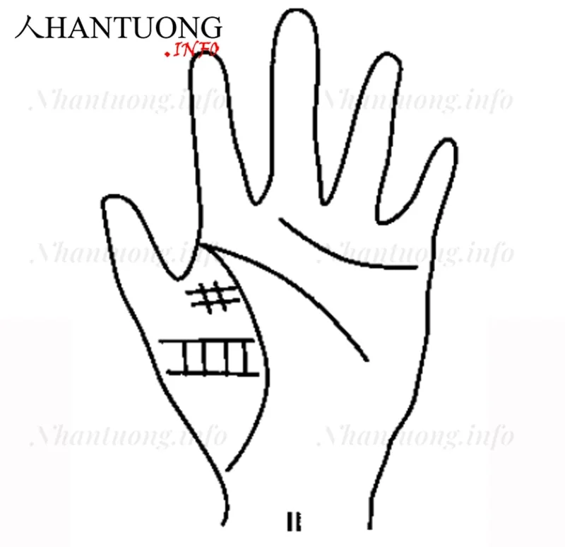 Dấu x, chữ thập trên gò Kim tinh Dấu x, chữ thập trên gò Kim tinh