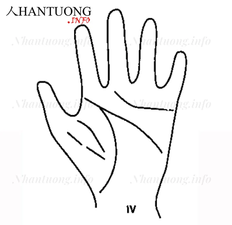 Đường thẳng chạy từ chân ngón cái tới đường Đời và cắt ngay trên gò Kim tinh Đường thẳng chạy từ chân ngón cái tới đường Đời và cắt ngay trên gò Kim tinh