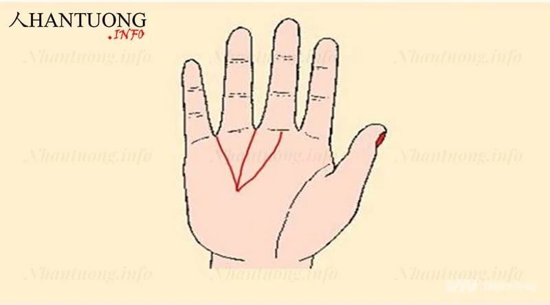 Đường chỉ tay tam xiên được tạo bởi 3 chỉ tay chính Đường chỉ tay tam xiên được tạo bởi 3 chỉ tay chính