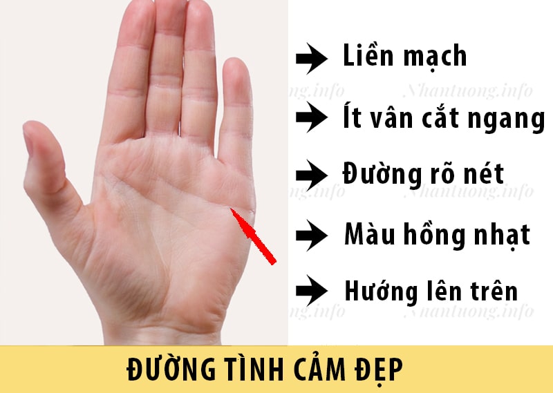 Đường tình duyên đẹp