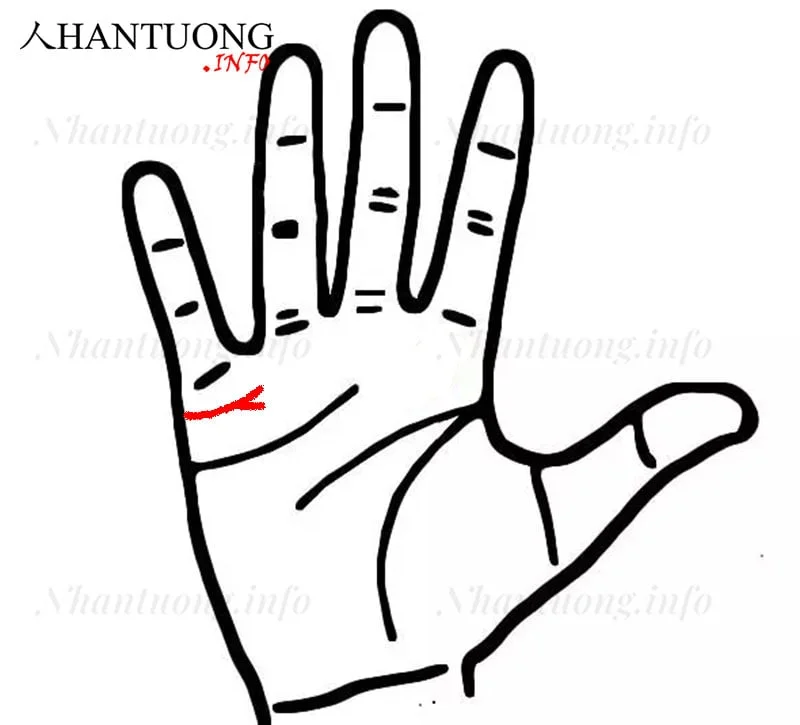 Đường Hôn nhân rẽ nhánh ở cuối - đường hôn nhân ly hôn Đường Hôn nhân rẽ nhánh ở cuối - đường hôn nhân ly hôn