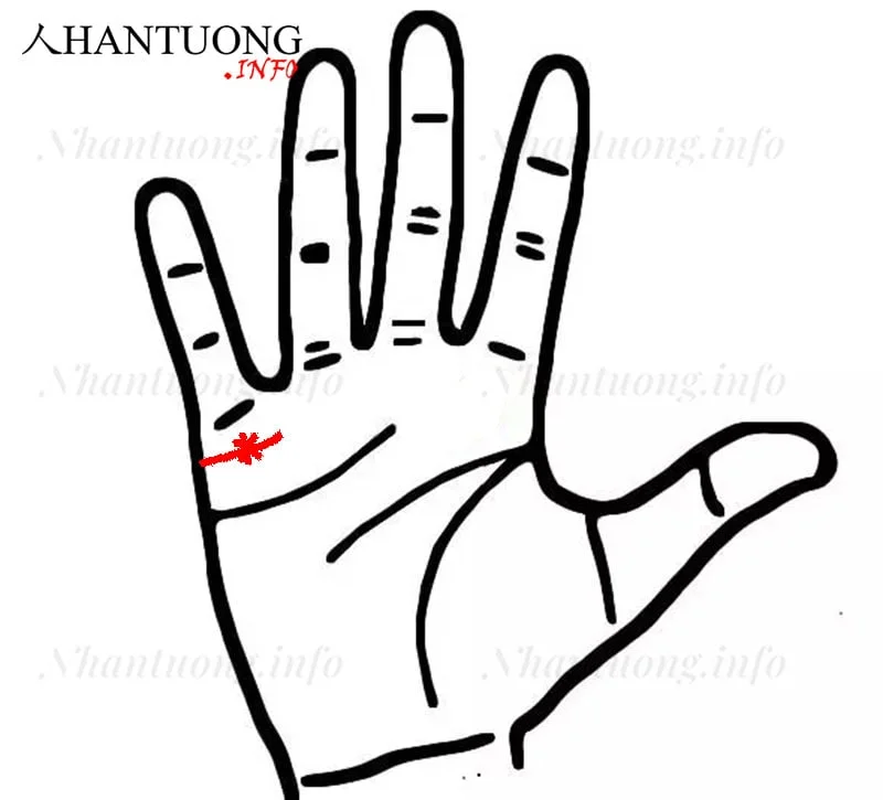 Đường Hôn nhân có ngôi sao Đường Hôn nhân có ngôi sao