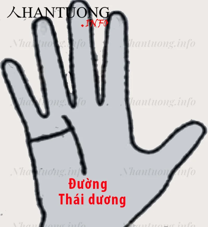 Đường Hôn nhân đi vào đường Thái dương Đường Hôn nhân đi vào đường Thái dương