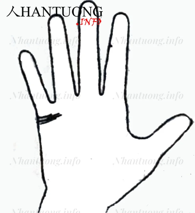 Bàn tay có nhiều đường hôn nhân Bàn tay có nhiều đường hôn nhân