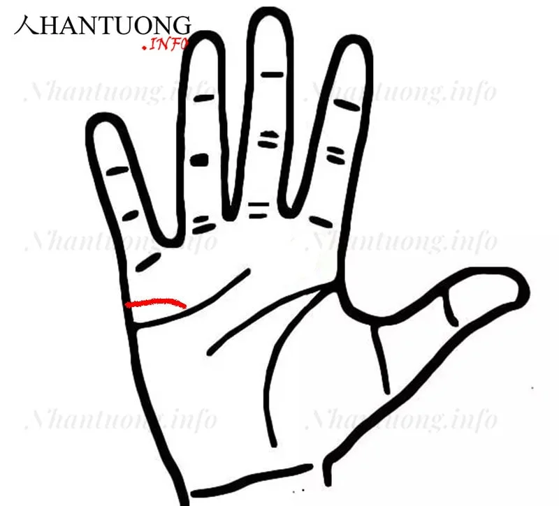 Đường Hôn nhân cong về Tâm đạo Đường Hôn nhân cong về Tâm đạo