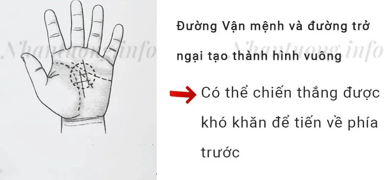 Đường Vận mệnh và đường trở ngại tạo thành hình vuông Đường Vận mệnh và đường trở ngại tạo thành hình vuông