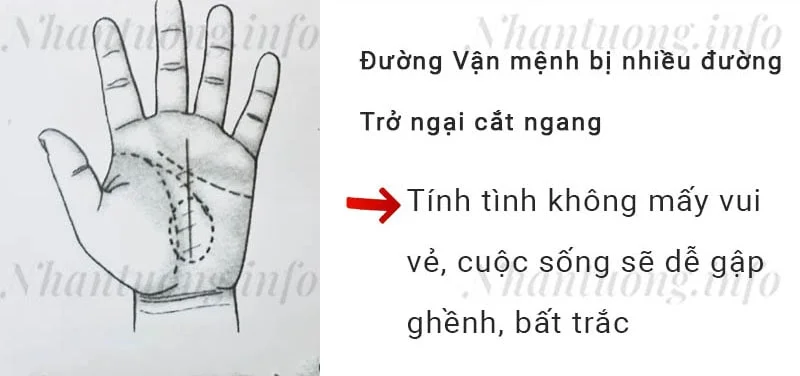 Đường Vận mệnh bị nhiều đường Trở ngại cắt ngang Đường Vận mệnh bị nhiều đường Trở ngại cắt ngang