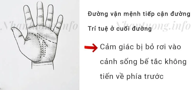 Đường vận mệnh tiếp cận đường Trí tuệ ở cuối đường Đường vận mệnh tiếp cận đường Trí tuệ ở cuối đường