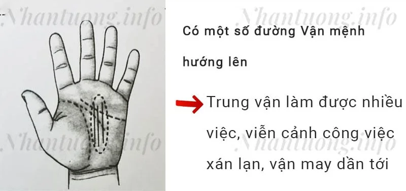 Có một số đường Vận mệnh hướng lên Có một số đường Vận mệnh hướng lên