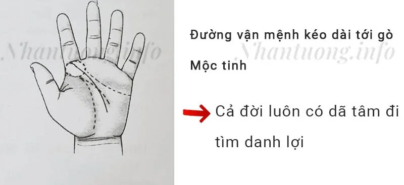 Đường vận mệnh kéo dài tới gò Mộc tinh Đường vận mệnh kéo dài tới gò Mộc tinh