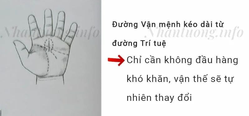 Đường Vận mệnh kéo dài từ đường Trí tuệ Đường Vận mệnh kéo dài từ đường Trí tuệ