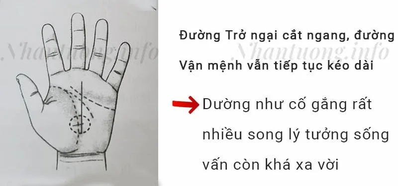 Đường Trở ngại cắt ngang, đường Vận mệnh vẫn tiếp tục kéo dài Đường Trở ngại cắt ngang, đường Vận mệnh vẫn tiếp tục kéo dài