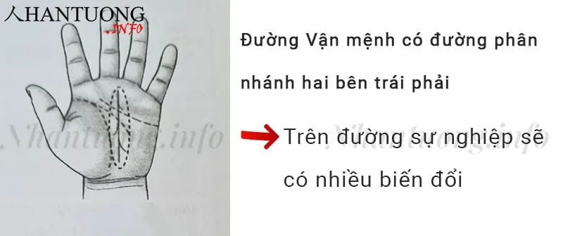 Đường Vận mệnh có đường phân nhánh hai bên trái phải Đường Vận mệnh có đường phân nhánh hai bên trái phải