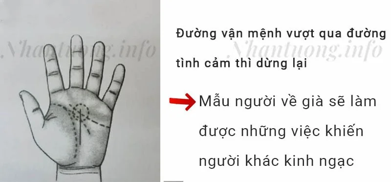 Đường vận mệnh vượt qua đường tình cảm thì dừng lại Đường vận mệnh vượt qua đường tình cảm thì dừng lại