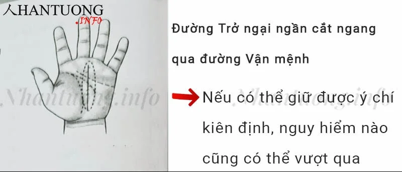 Đường Trở ngại cắt ngang qua đường Vận mệnh Đường Trở ngại cắt ngang qua đường Vận mệnh