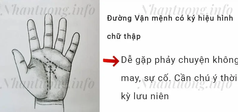 Đường Vận mệnh có ký hiệu hình chữ thập Đường Vận mệnh có ký hiệu hình chữ thập