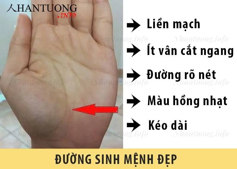 Đường sinh mệnh đẹp Đường sinh mệnh đẹp