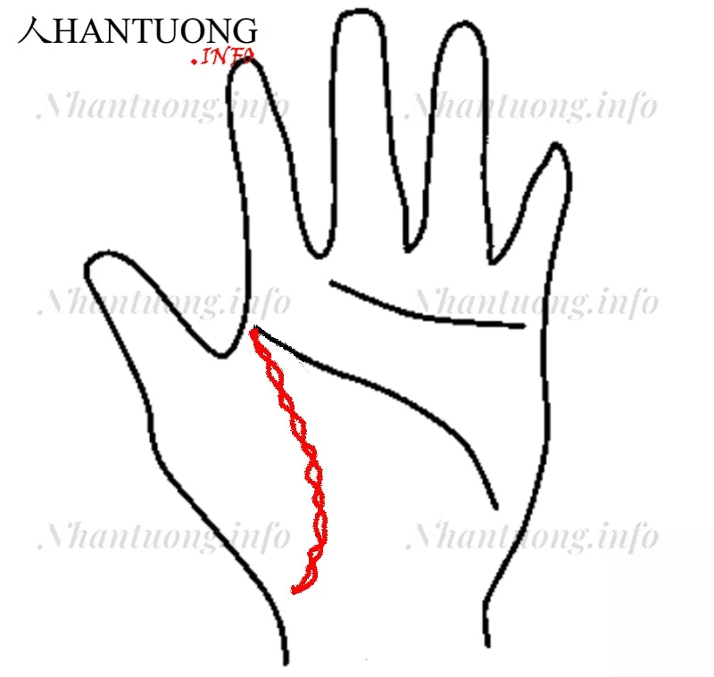 Đường sinh mệnh như hình xoắn xích Đường sinh mệnh như hình xoắn xích