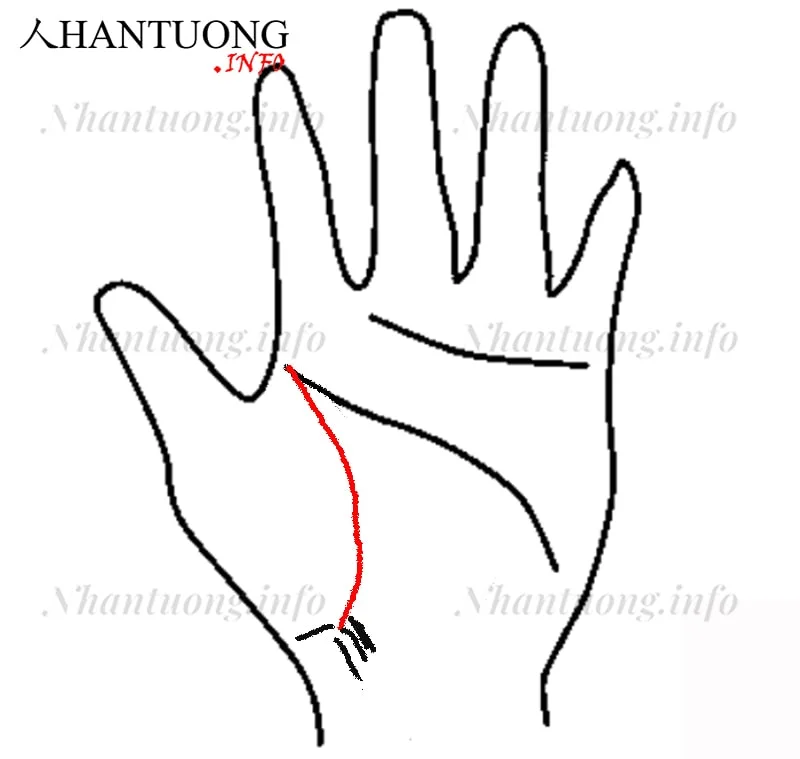 Đường sinh mệnh phía dưới nhiều vân tạp loạn Đường sinh mệnh phía dưới nhiều vân tạp loạn