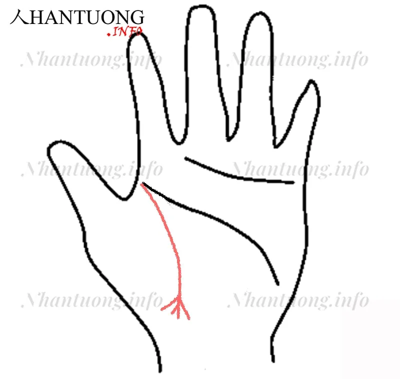 Cuối đường sinh mệnh rẽ nhánh nhỏ Cuối đường sinh mệnh rẽ nhánh nhỏ