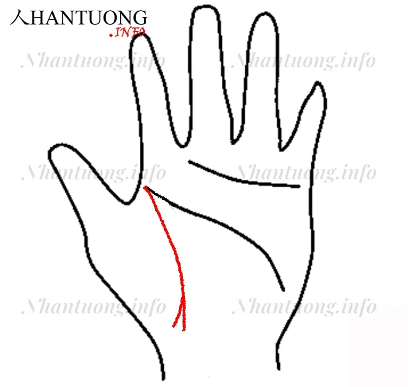 Cuối đường sinh mệnh có hình đuôi cá Cuối đường sinh mệnh có hình đuôi cá