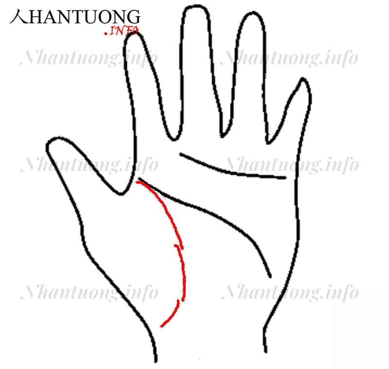 Đường sinh mệnh bị đứt đoạn Đường sinh mệnh bị đứt đoạn