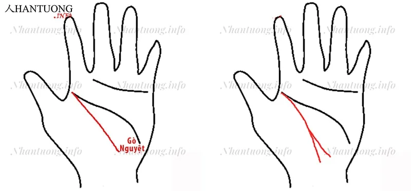 Cuối đường sinh mệnh hướng sang gò Nguyệt – gò đối diện gò ngón cái Cuối đường sinh mệnh hướng sang gò Nguyệt – gò đối diện gò ngón cái