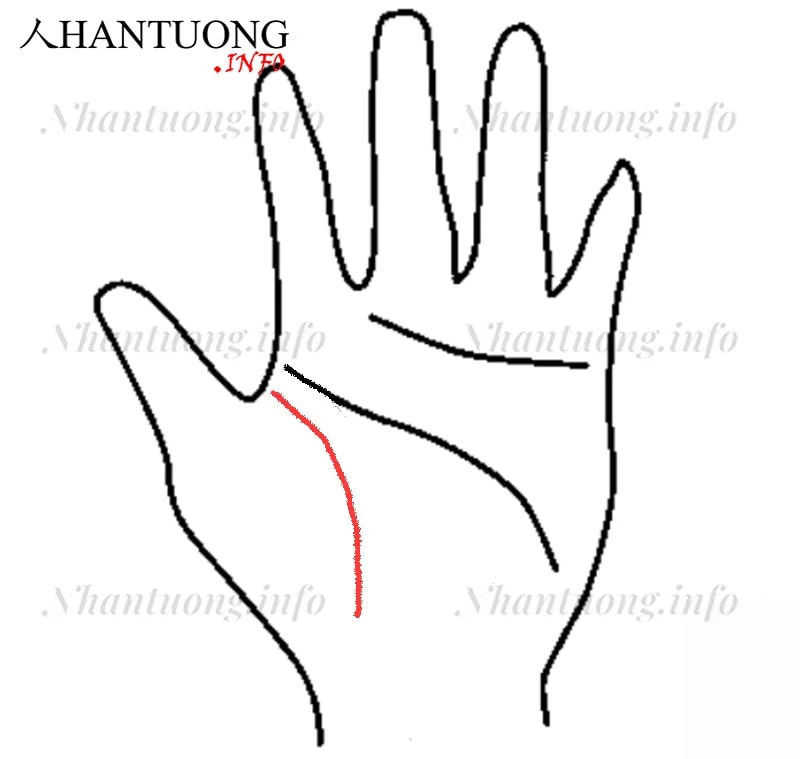 Đường sinh mệnh tách rời khỏi các đường chính Đường sinh mệnh tách rời khỏi các đường chính