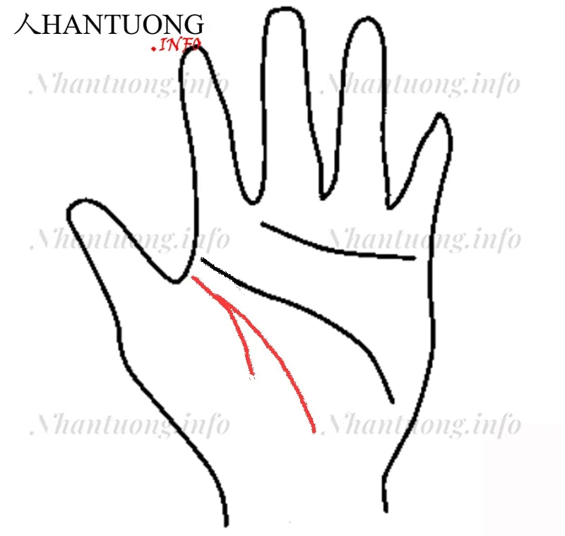 Đường sinh mệnh rẽ nhánh nhỏ Đường sinh mệnh rẽ nhánh nhỏ