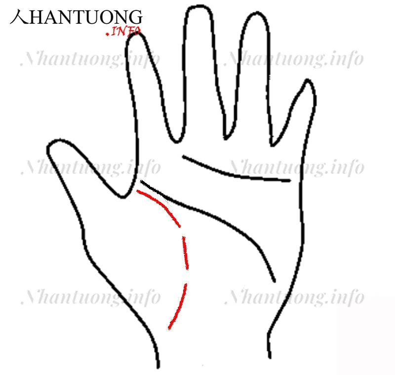 Đường sinh mệnh bị đứt rời rạc Đường sinh mệnh bị đứt rời rạc