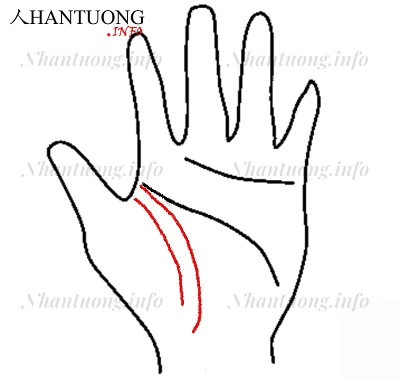 Đường sinh mệnh đôi - có thêm đường sinh mệnh phụ (đường tỷ muội) Đường sinh mệnh đôi - có thêm đường sinh mệnh phụ (đường tỷ muội)