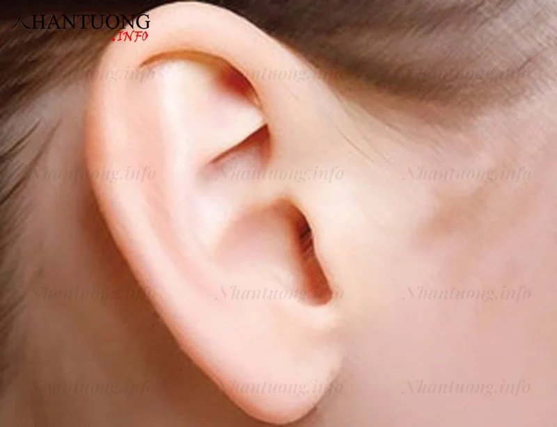 Tướng tai không có thành quách Tướng tai không có thành quách