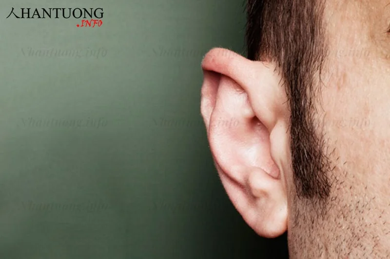 Tướng tai không có luân (vành tai) Tướng tai không có luân (vành tai)