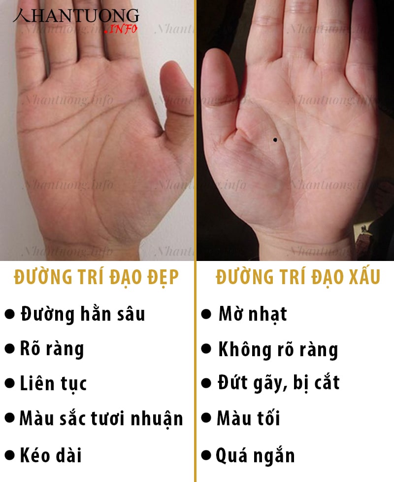 Nhận biết đường trí đạo đẹp xấu