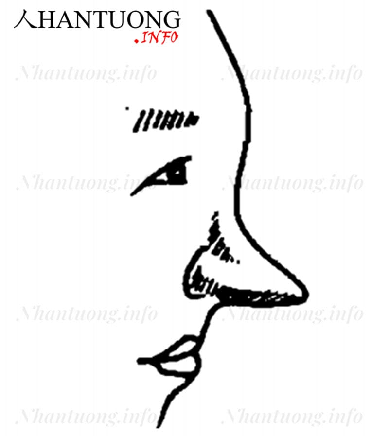 Sống mũi cao lộ xương Sống mũi cao lộ xương