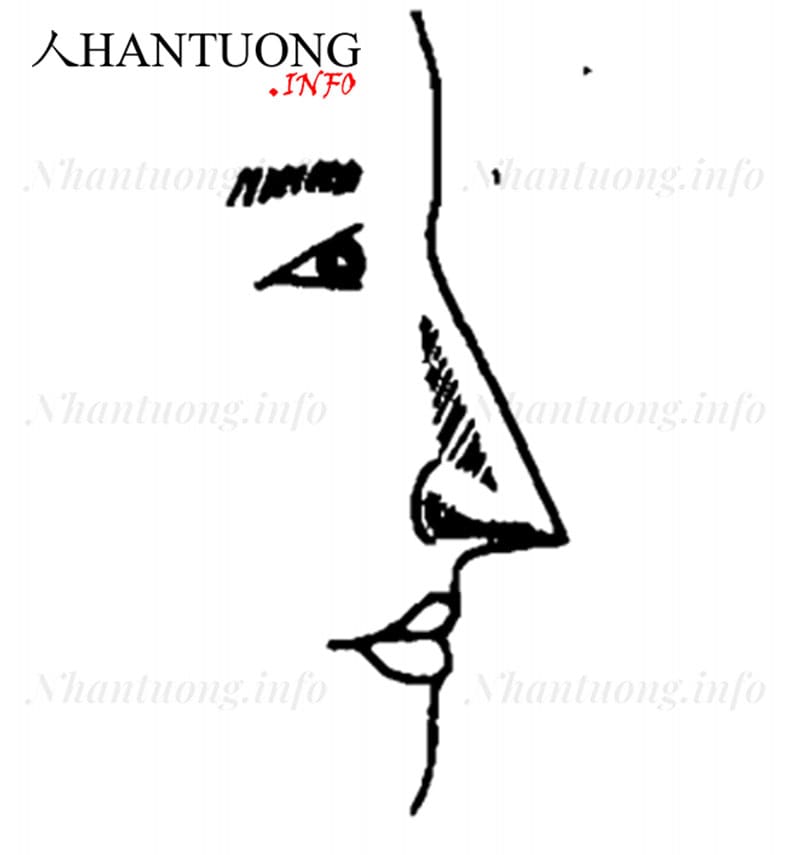 Tướng mũi kiếm Tướng mũi kiếm