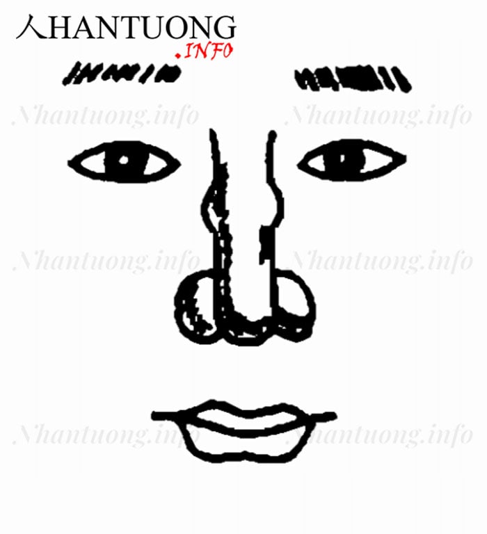 Tướng mũi lạc đà Tướng mũi lạc đà